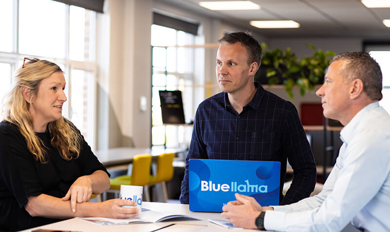 Blue llama Productivity