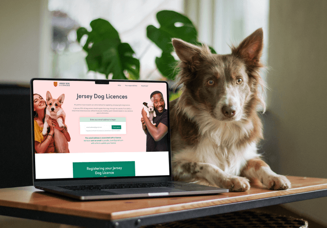 Dog Licence
